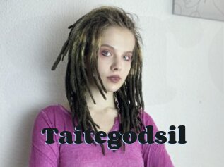 Taitegodsil