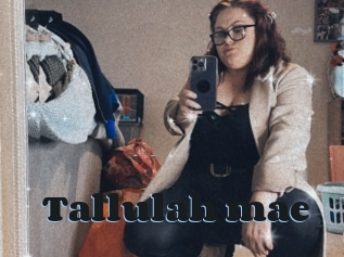 Tallulah_mae