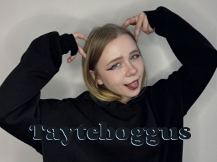 Tayteboggus