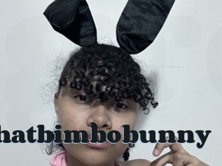 Thatbimbobunny