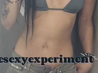 Thesexyexperiment