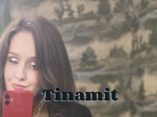 Tinamit