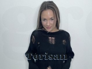 Torisan