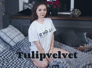 Tulipvelvet