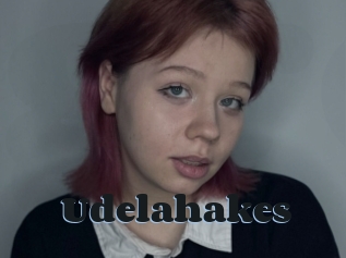 Udelahakes