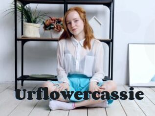 Urflowercassie