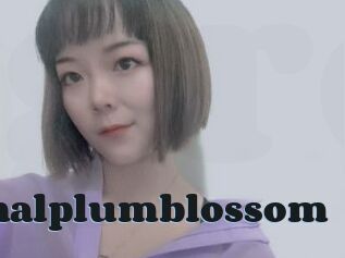 Vaginalplumblossom