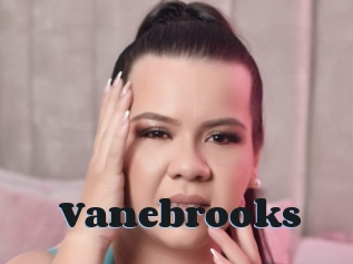 Vanebrooks