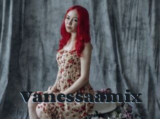 Vanessaamix