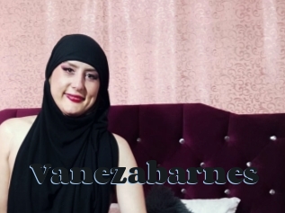 Vanezabarnes
