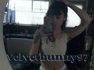 Velvetbunny97