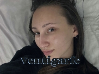 Ventigarfe