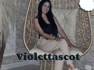 Violettascot