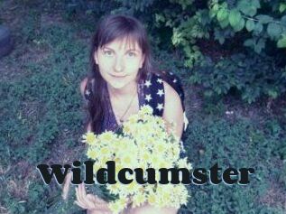 Wildcumster