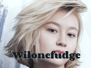 Wilonefudge