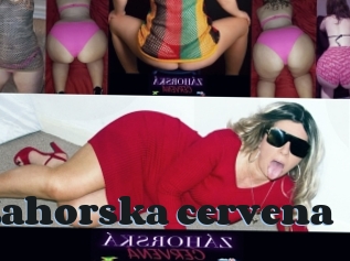 Zahorska_cervena