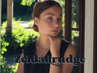 Zeldadrudge