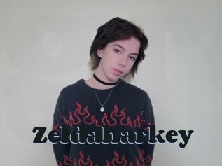 Zeldaharkey