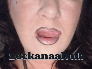 Zoekanaalsub